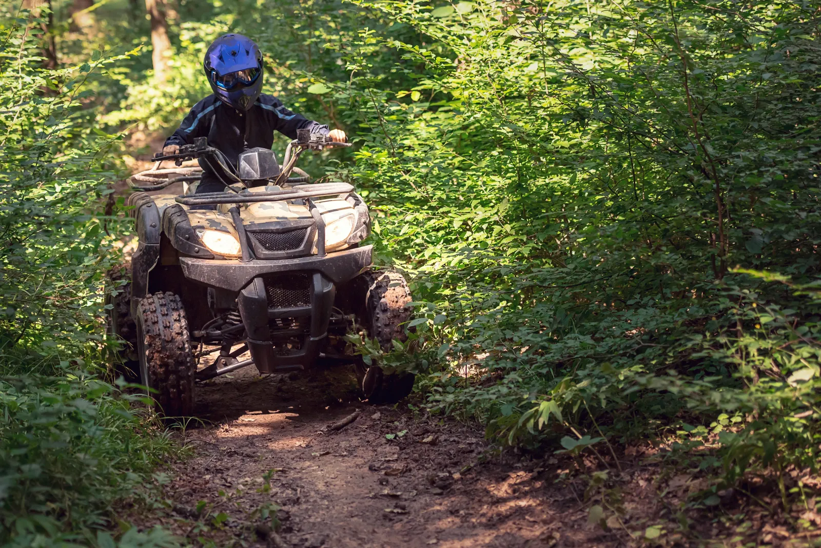 jízda na čtyřkolce lesem
