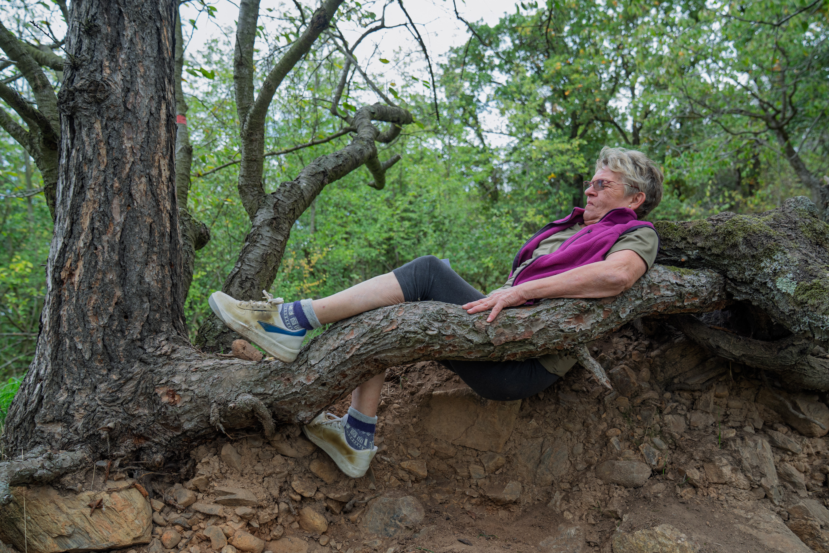 zdena zaklíněna pod kořenem